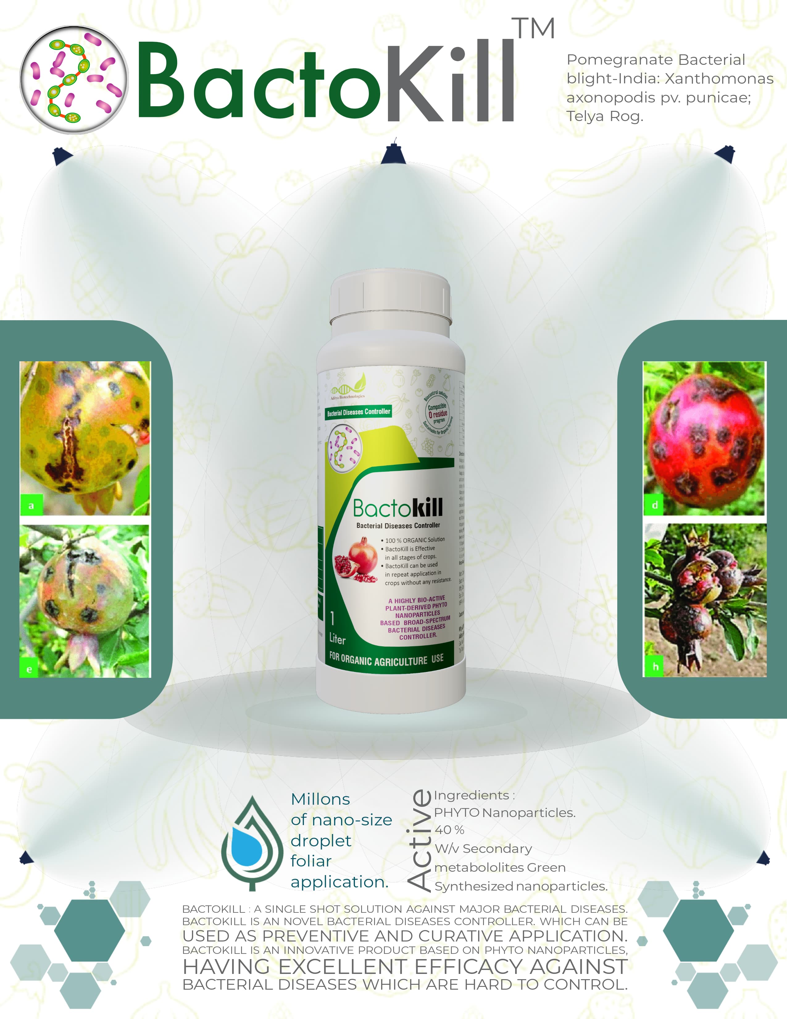 WhatsApp Image 2025-04-02 at 10.07.02 AM.jpeg